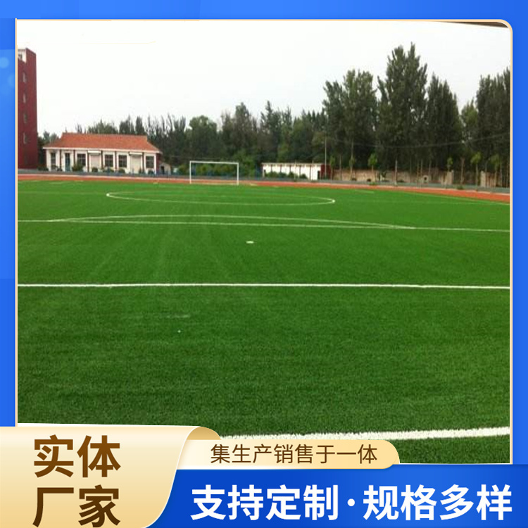 聊城市橡胶跑道人造草坪 - 排名